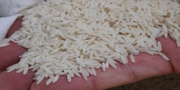 تصویر 3 از خرید و قیمت برنج مازندران هاشمی + فروش صادراتی